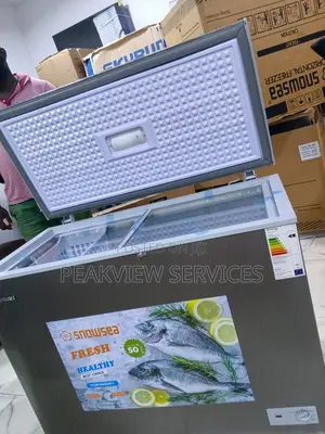 Snowsea Bd370 250l Chest Freezer Functional Design