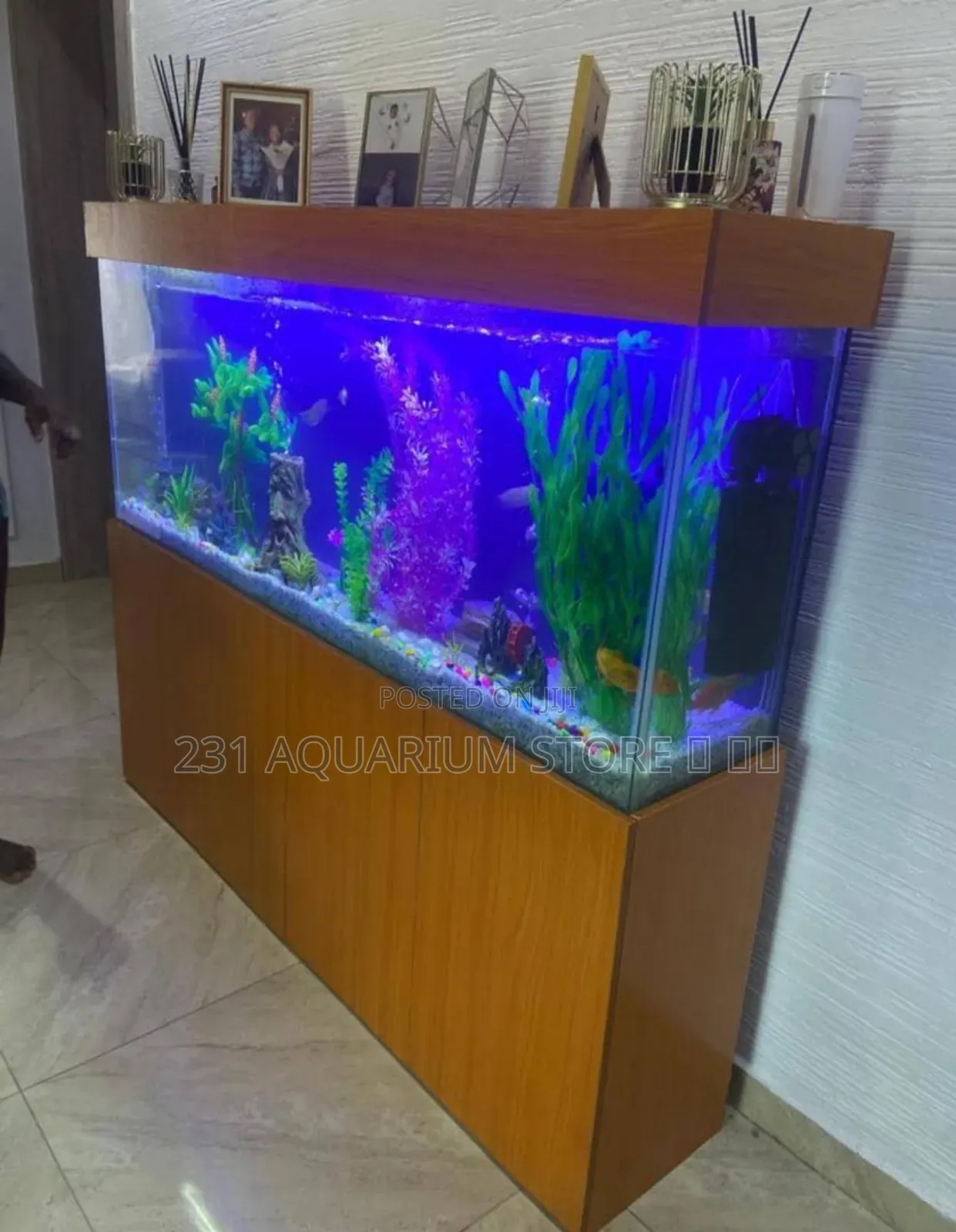Aquarium Services