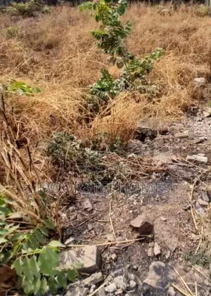 1.2 Hectares Commercial Land for Sale in Central Area