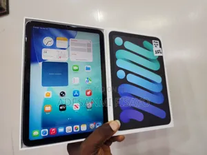 Apple iPad mini 7 256 GB Gray
