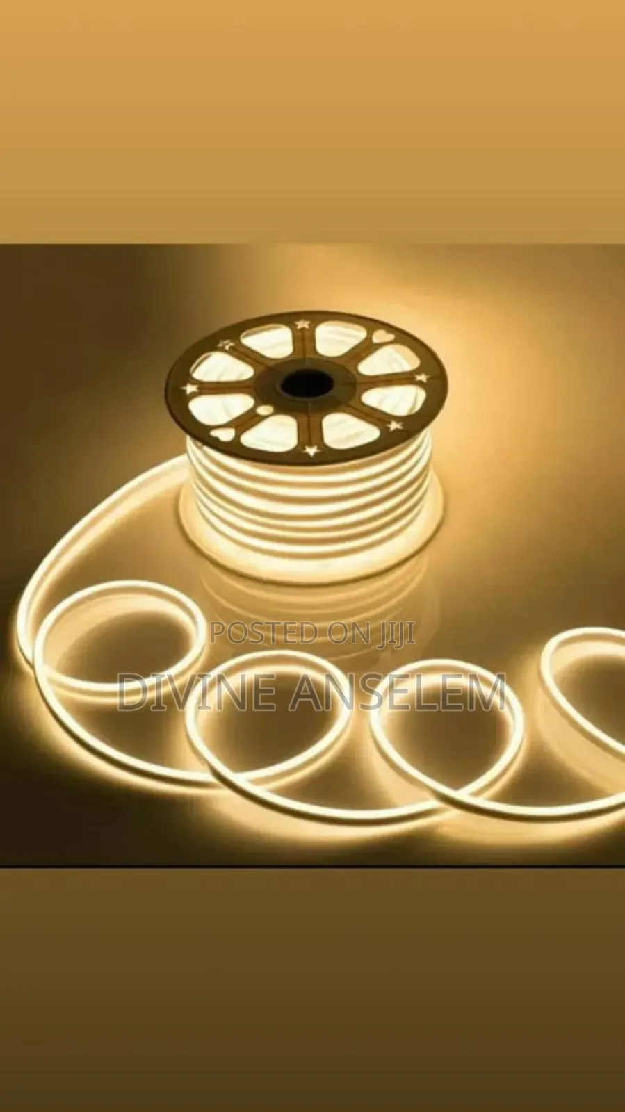 Neon Rope Light