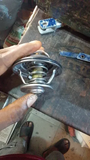 Thermostat for Cummins Engine