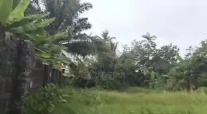 Commercial/Private Building With Empty Land for Sale