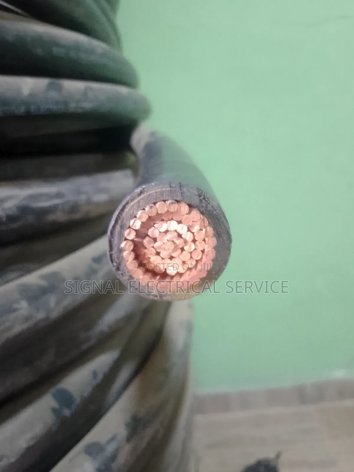 Armored Cable