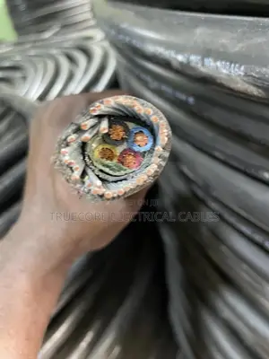 10mm X 4core Armored Cable
