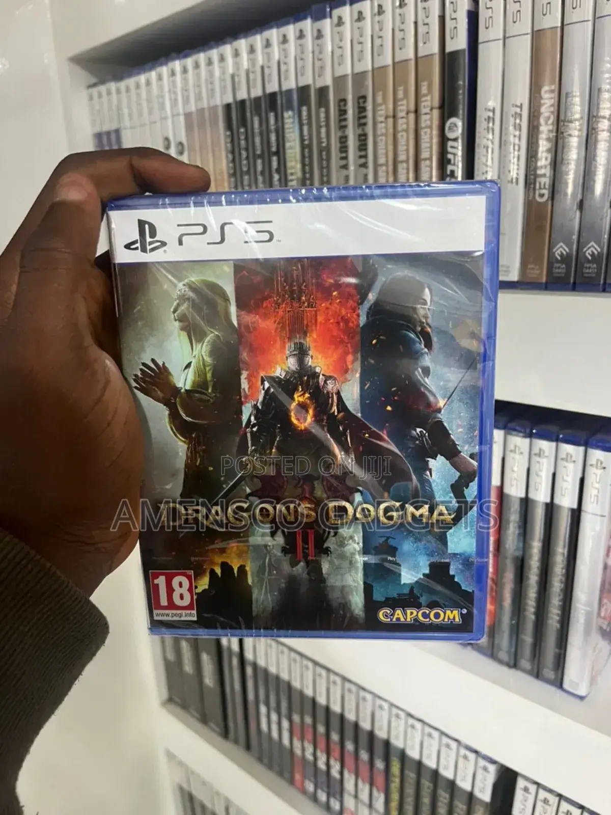 Dragons Dogma Ii