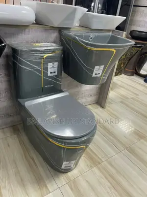 Luxury Grey and Gold Ceramic Water Closet (Wc) With Wash Hand Basin