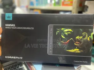 Huion Kamvas Pro 12 Creative Pen Display.