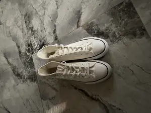 Sneakers Shoe