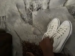 Sneakers Shoe