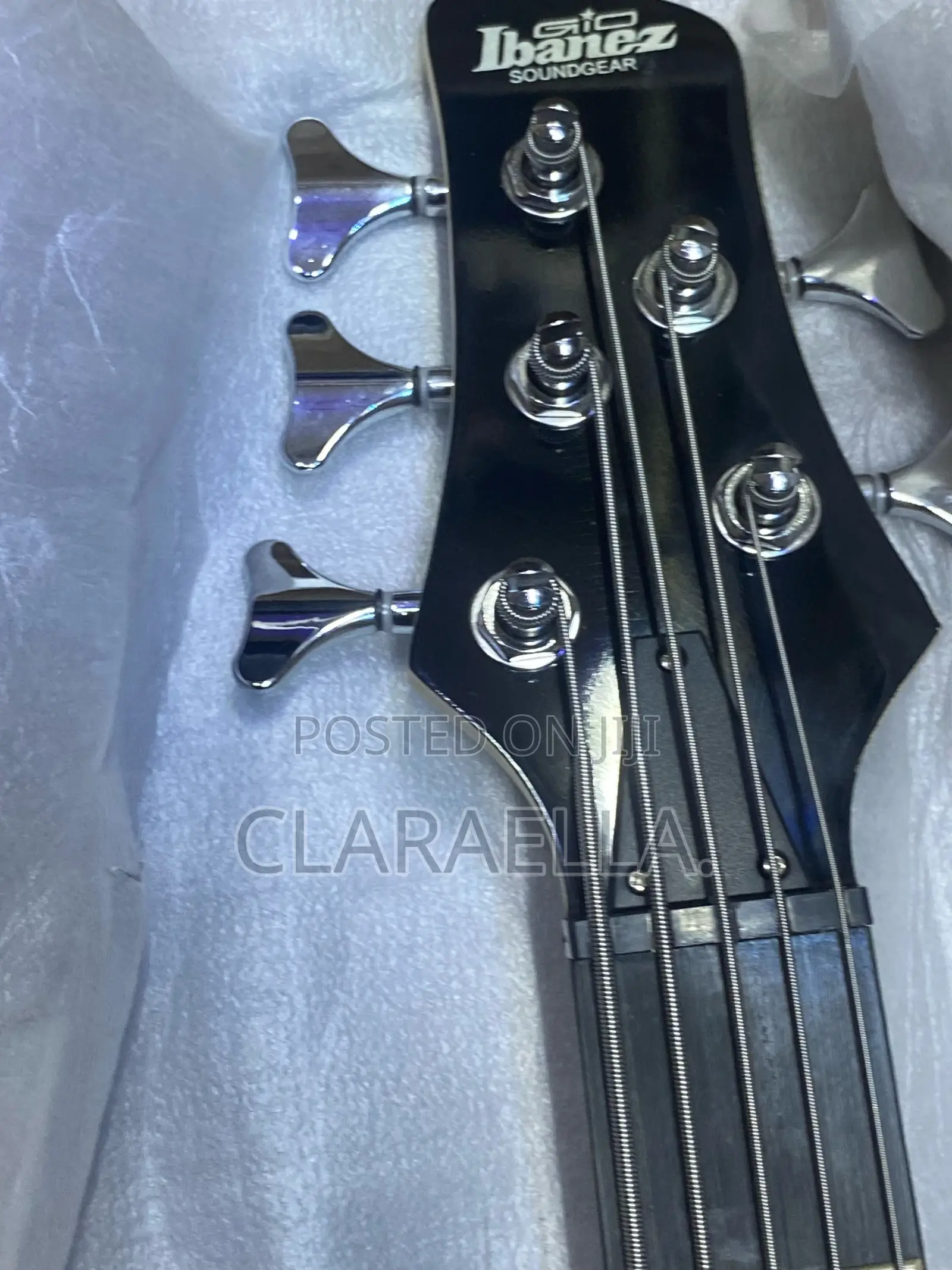 Ibanez 5-String Electric Bass Guitar.