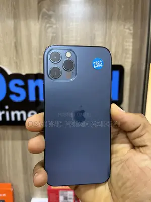 Apple iPhone 12 Pro 256 GB Blue