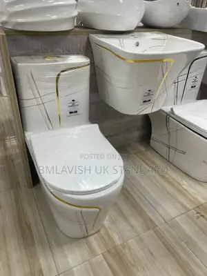 Modern White Ceramic Water Closet With a Black Line Pattern Design
