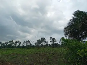1000sqm Plots of Land in Ureghin, Oredo Lga
