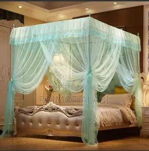 Fancy Mosquito Net