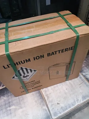 Blue Carbon 5kwh Luithm Battery 48 Voltage
