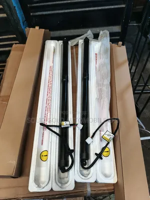 Booth Shock / Tailgate Lifter Rx350 2017-2021