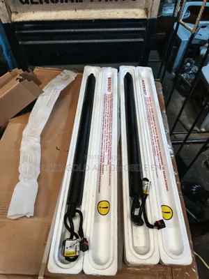 Booth Shock /Tailgate Lifter Santa Fe 2019-2023