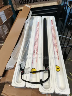 Booth Shock /Tailgate Lifter Palisade 2023