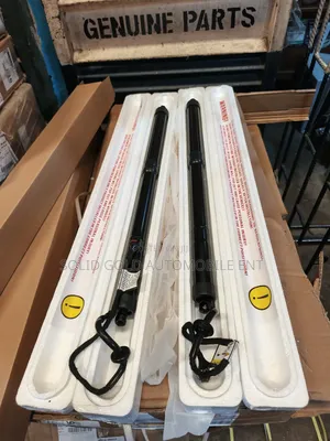 Booth Shock /Tailgate Lifter Santa Fe 2013 - 2018