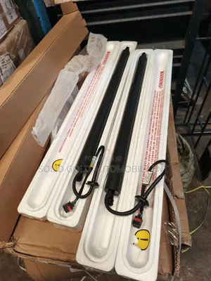 Booth Shock /Tailgate Lifter Palisade 2020