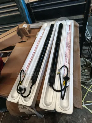 Booth Shock /Tailgate Lifter Rav4 2019-2022