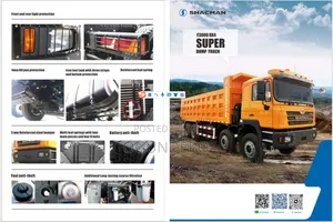 6x4 Shackman Truck 10tyres
