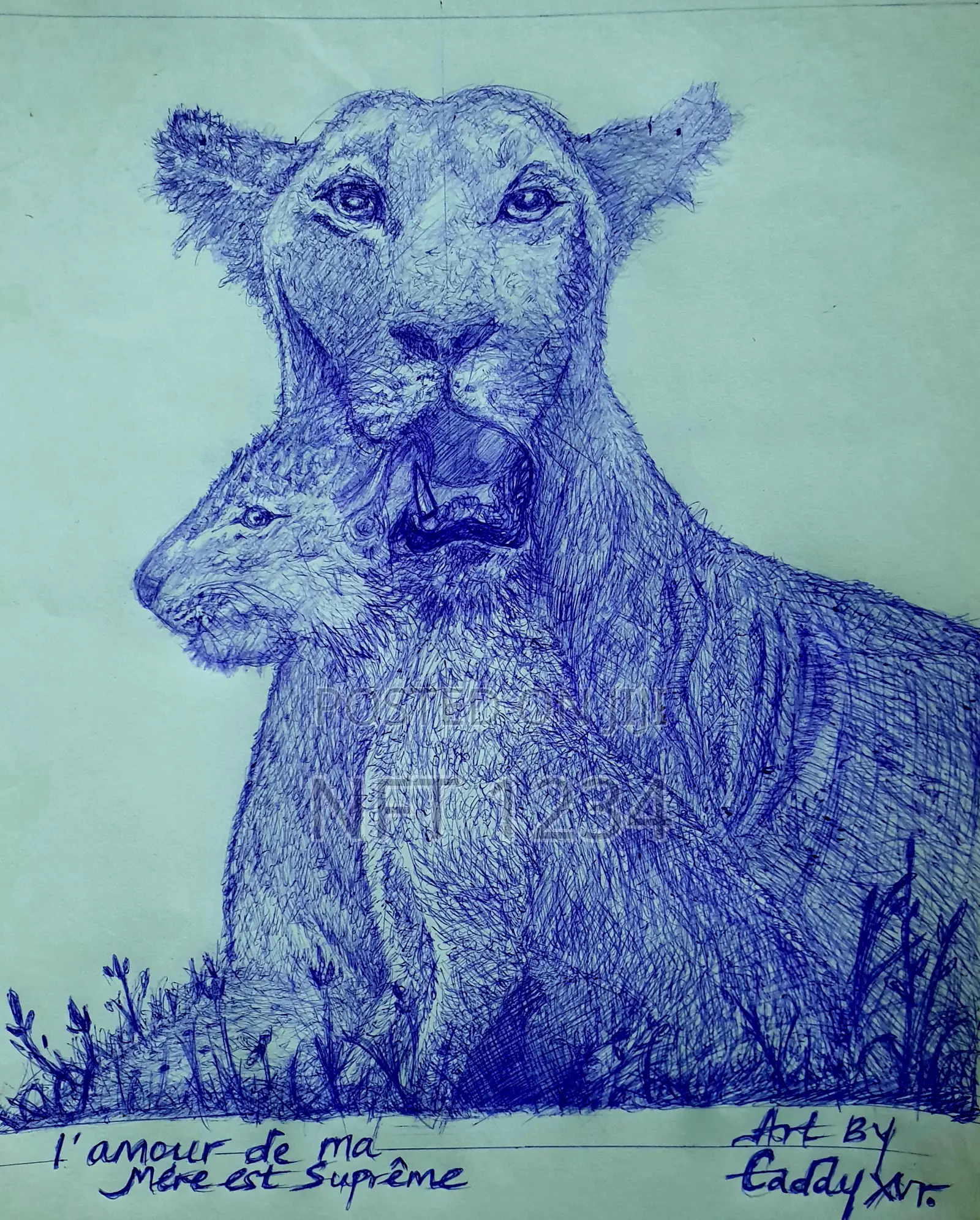 Online / Onsite Art/Drawing Teacher