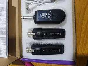 2.4ghz Wireless Microphone Transmitter and Receiver - 2 to 1