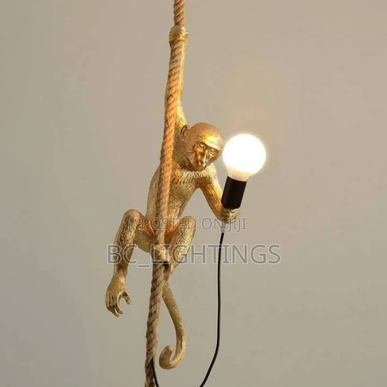 Modern Monkey Chandelier Light
