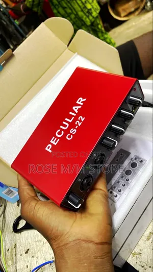 Cs-22 Audio Interface