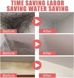 Mold Remover