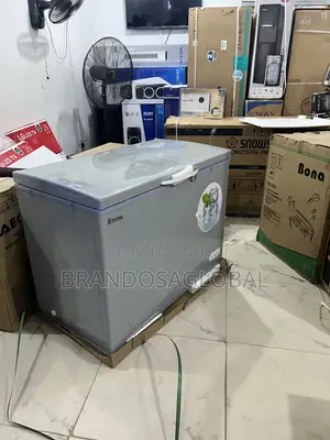 Bona 308l Inverter Chest Freezer Bd-004 – Reliable Home Freezer