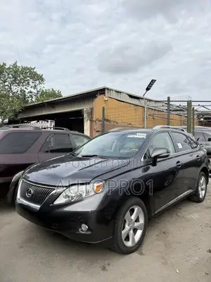 Lexus RX 350 2010 Gray