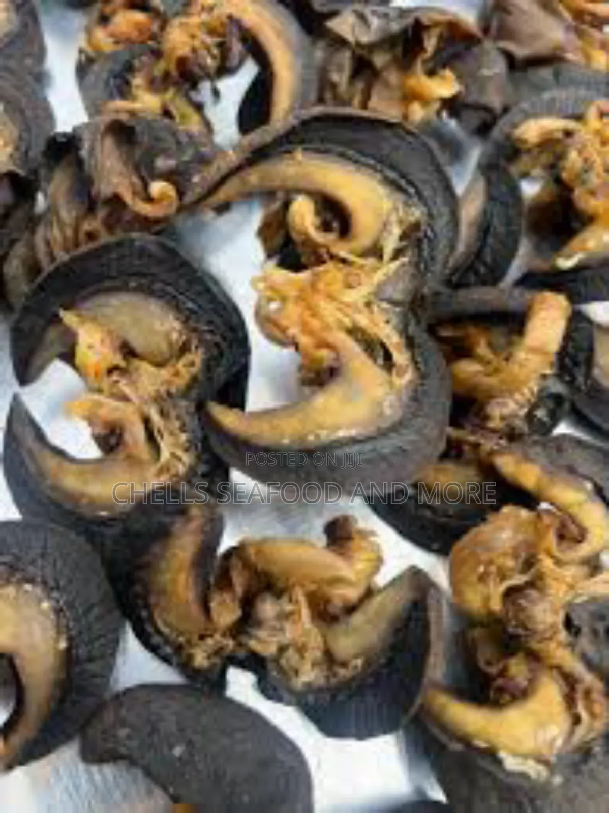 Neatly Dried Snails