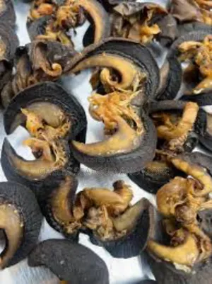 Neatly Dried Snails