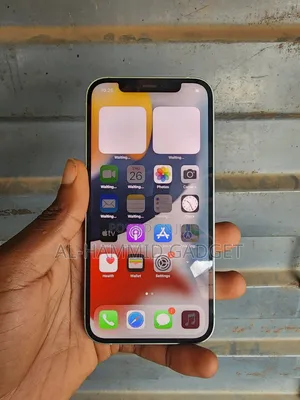 Apple iPhone 12 64 GB Gray