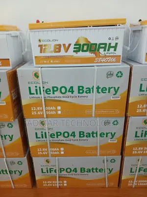 Ecolion 12.8v 300ah Lithium Ion Battery