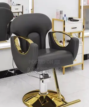Vip Salon Chair