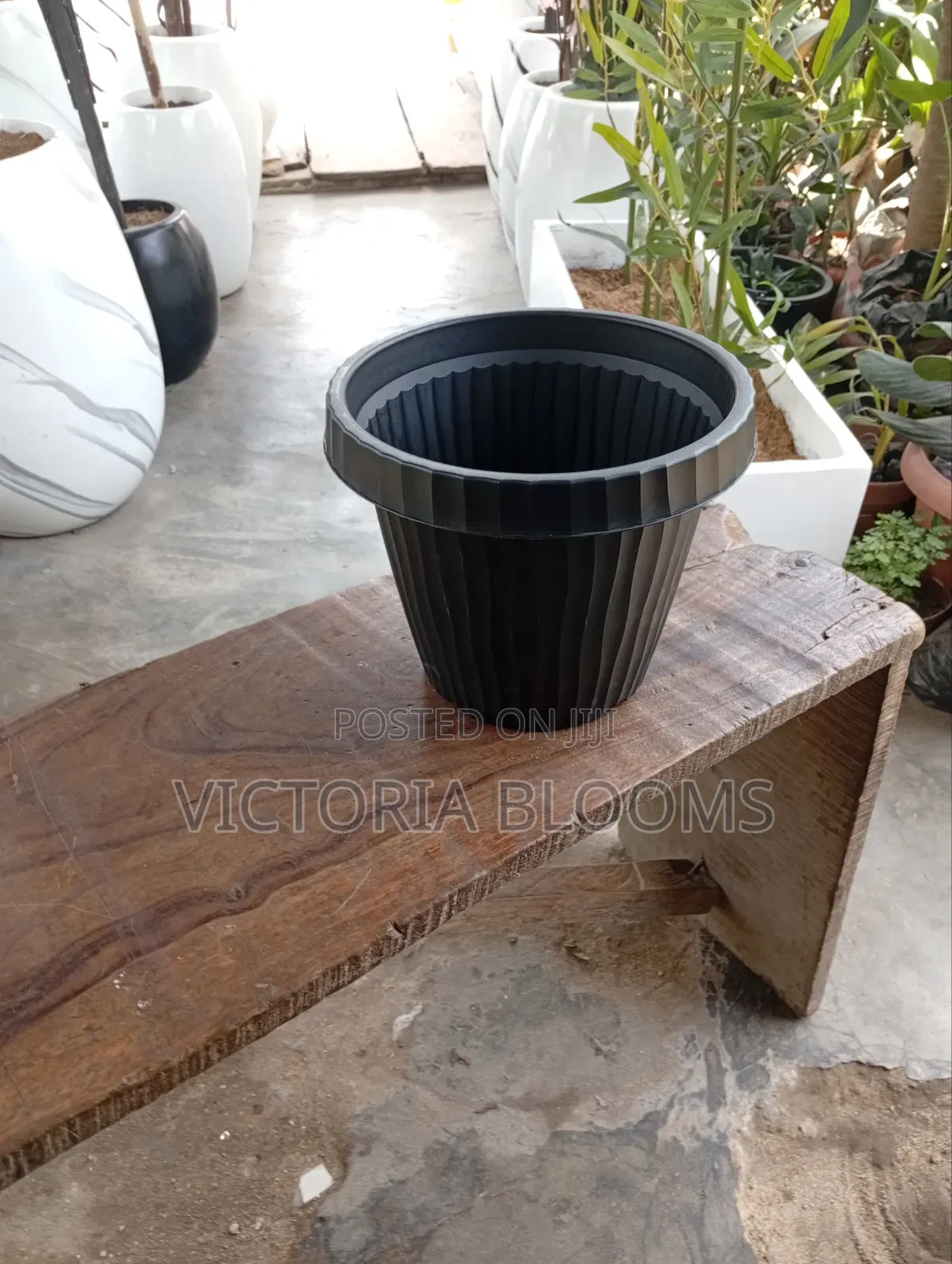 Flower Pot