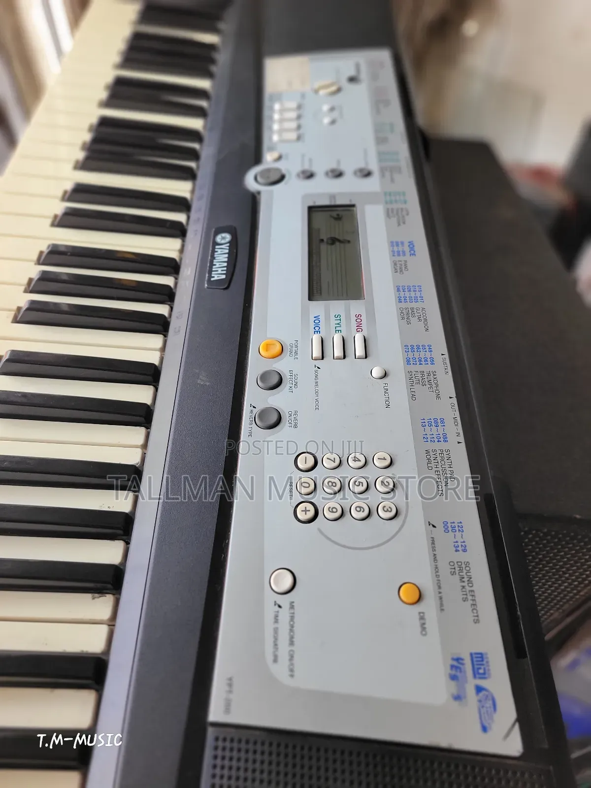 Yamaha Ypt 200