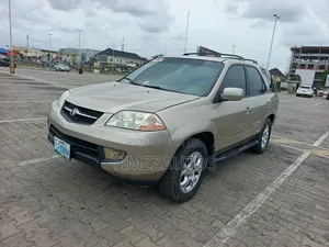Acura MDX 2004 Gold