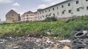 Certificate of Occupancy