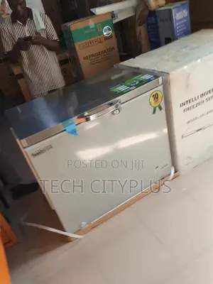 Scanfrost Chest Freezer Sfl250inv Spacious Interior