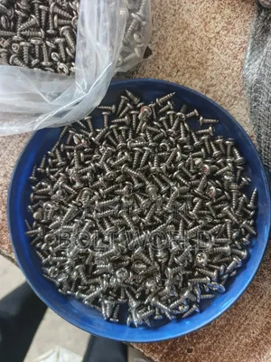 Stainless Tapping Screws 304 Grade