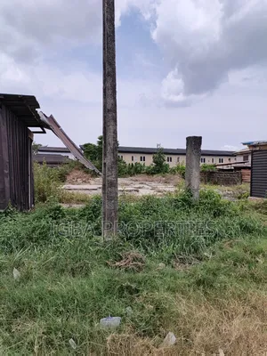 Full Plot on Bayou Oshinowo Street Ogudu 70 Million