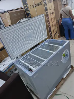 Bona Deep Freezer – Strong Compressor, No Issues