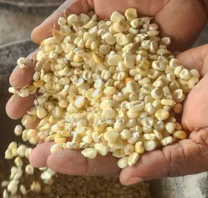 Dry Maize for Sale at Atan-Ota