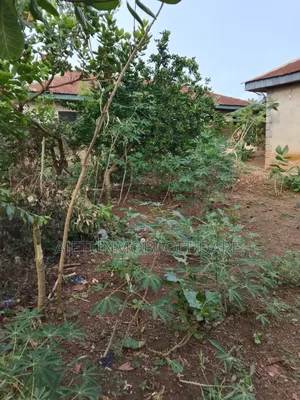 Lands and Plots for Sale