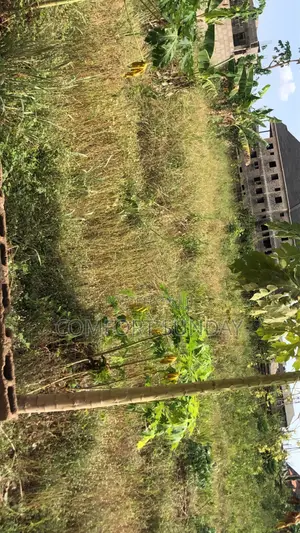 Land Property